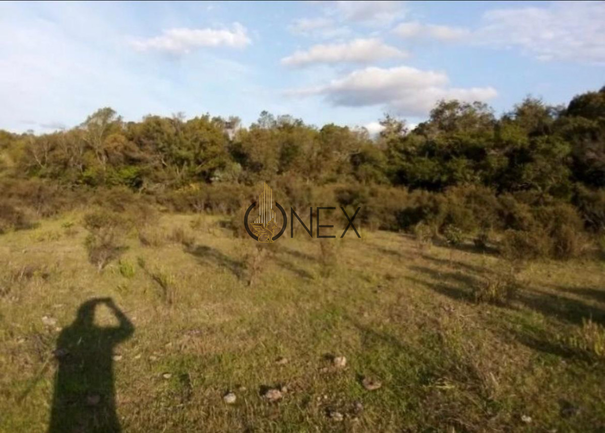 Campo Ref.1116 - Se vende campo en Maldonado 35has