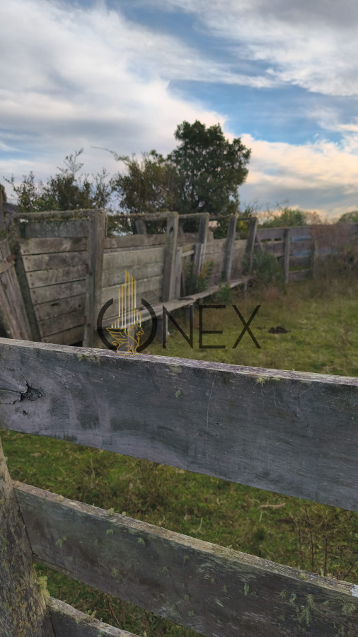 Campo Ref.2602 - Venta de Campo de 77 Ha en Las Cañas
