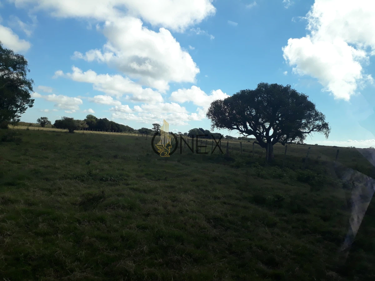 Campo Ref.2557 - Campo en Otra, 