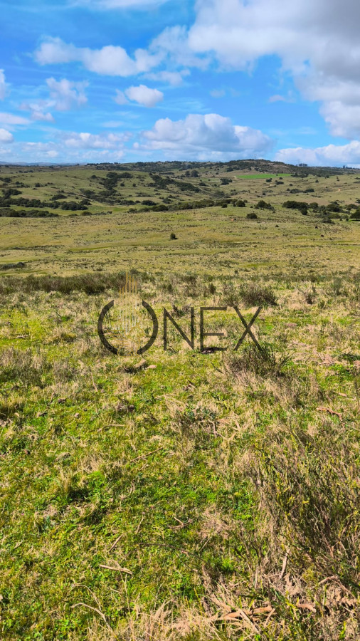 Campo Ref.3087 - Venta de Campo de 150Ha en Lavalleja
