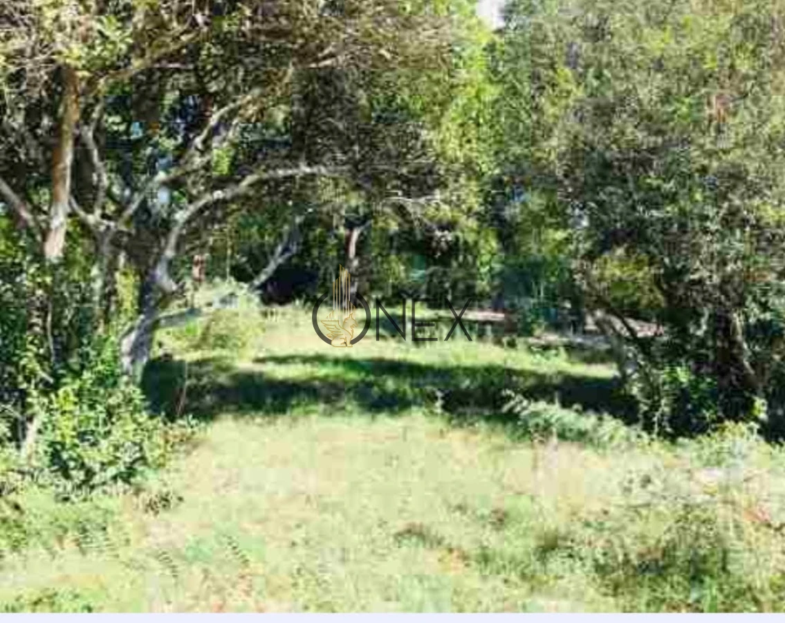 Campo Ref.2557 - Campo en Otra, 