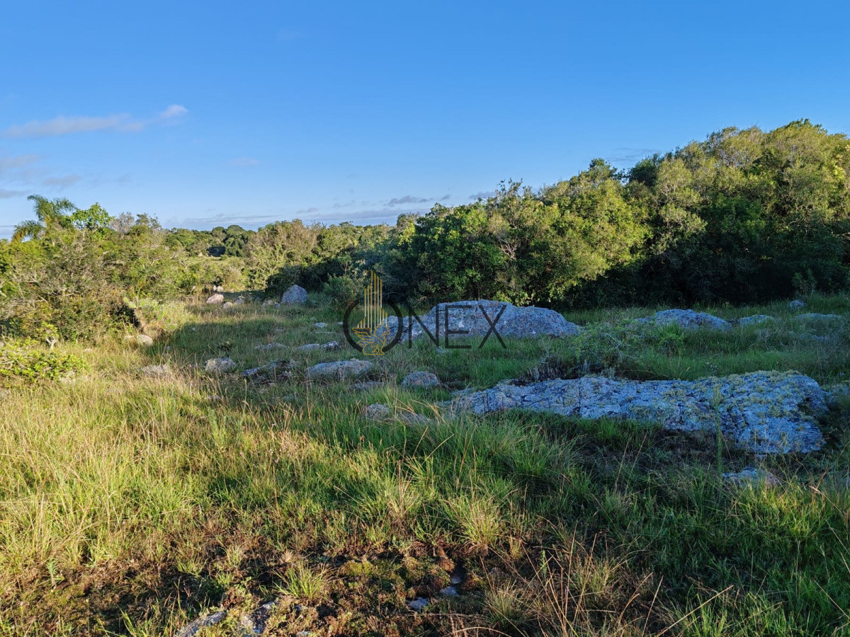 Campo Ref.3316 - Campo en Sierras de San Miguel Rocha 