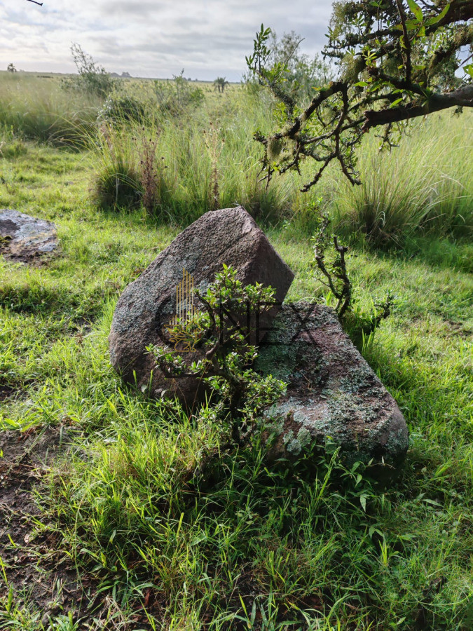 Campo Ref.3316 - Campo en Sierras de San Miguel Rocha 