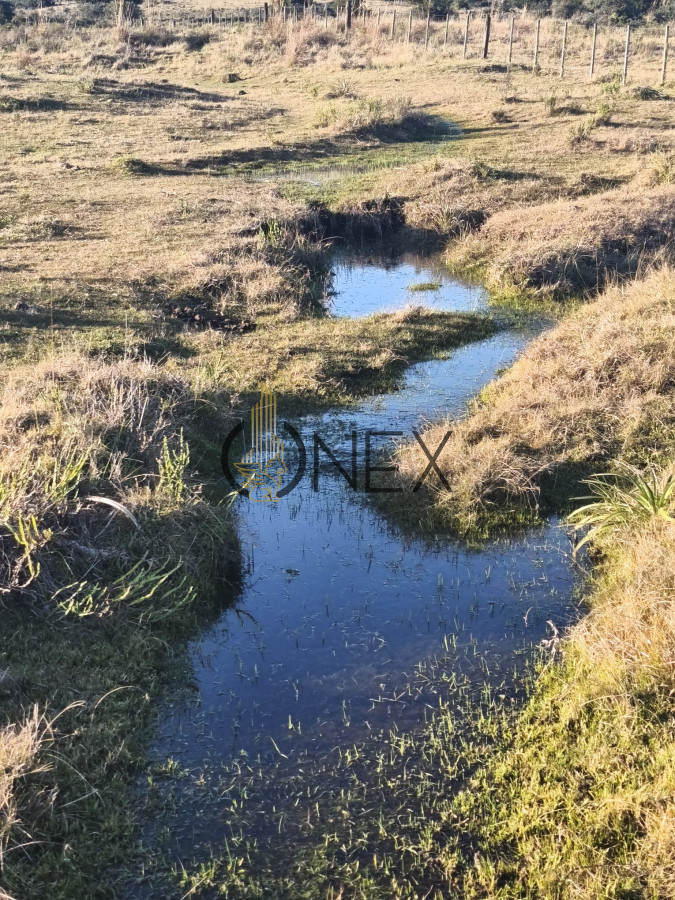 Campo Ref.3003 - Venta de Campo de 22 Has en Zona de las Cañas