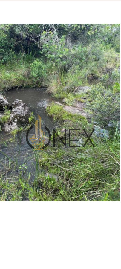 Campo Ref.2247 - Venta De Chacras Valle San Nicolas