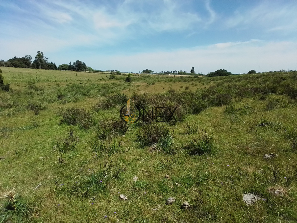 Campo Ref.3598 - Se vende excelente parcela de 6,85 has a 17 min de Jose Ignacio, sobre Ruta 9 km 155