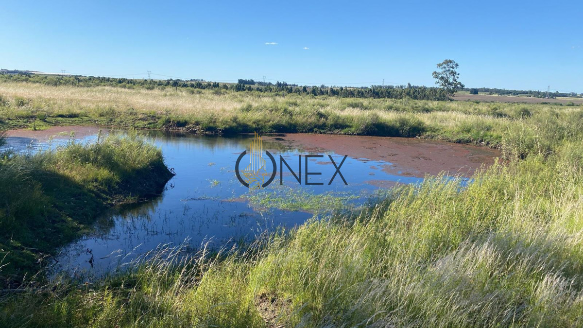 Campo Ref.1543 - Campo en venta de 41 ha en Empalme Olmos 
