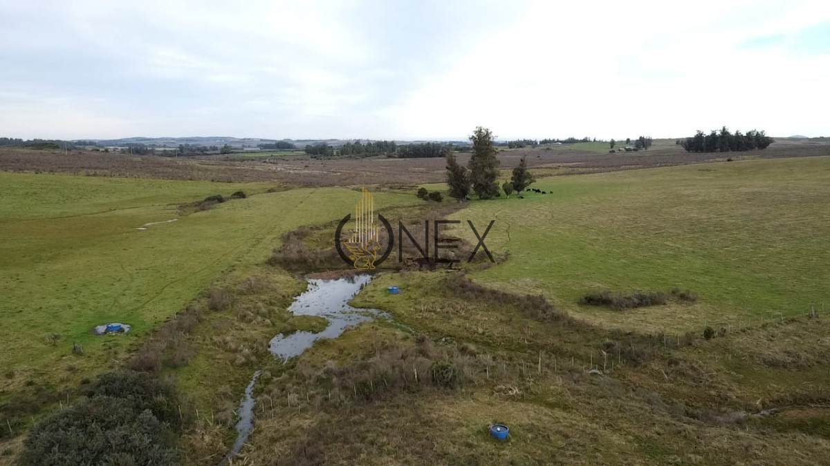 Campo Ref.2890 - Venta de campo de 34 Has en Pan de Azucar
