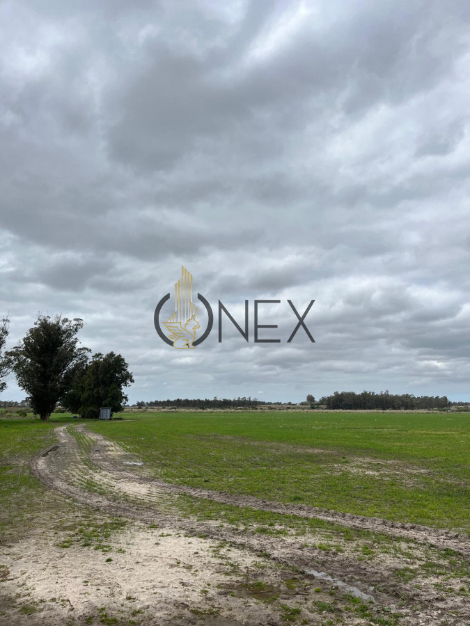 Campo Ref.1468 - SE VENDE CAMPO EN SAUCE, CANELONES. MUY BUEN ACCESO