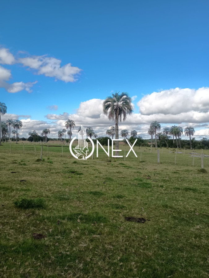 Campo Ref.4620 - Se vende en Corral de Palma 