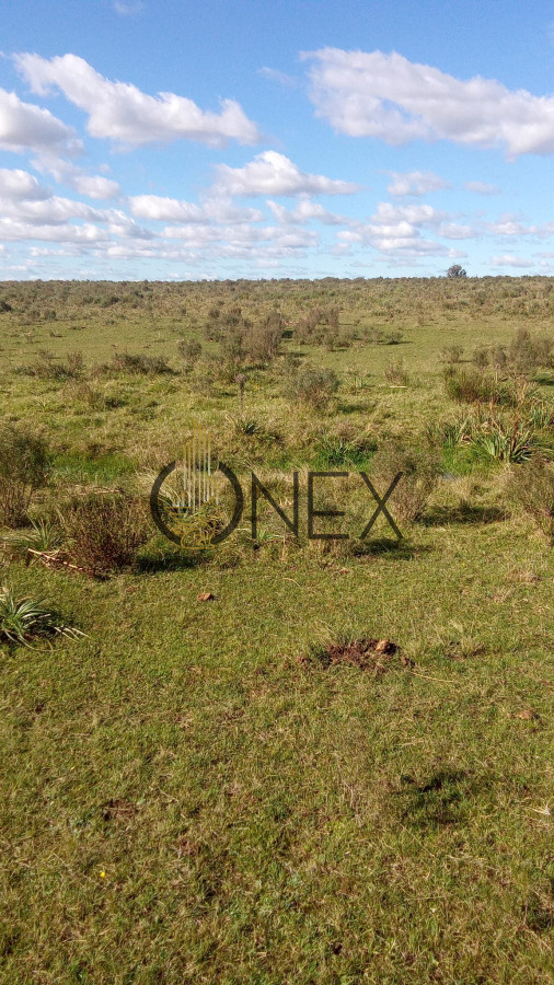 Campo Ref.2341 - Venta campo 29 hectareas a 4 km de San Carlos