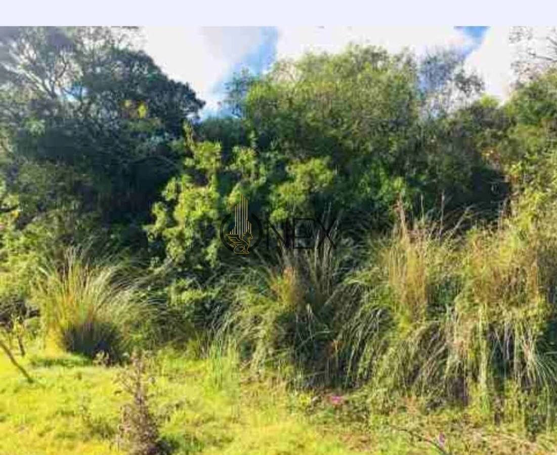 Campo Ref.2557 - Campo en Otra, 