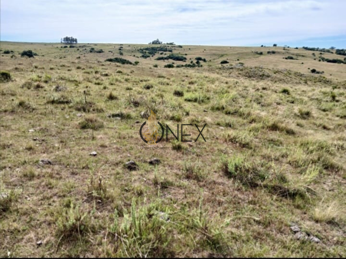 Campo Ref.3862 - Venta de Campo 55Ha en Las Cañas