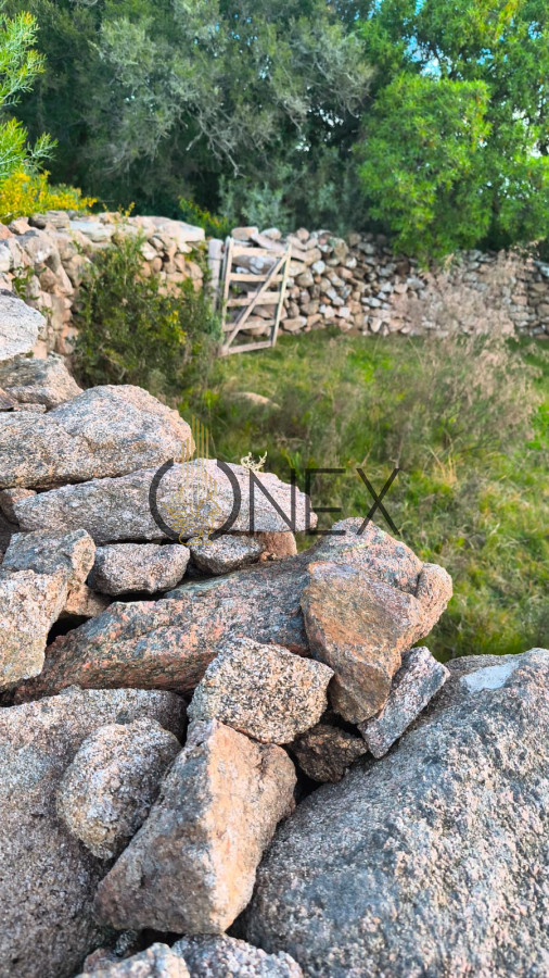 Campo Ref.2602 - Venta de Campo de 77 Ha en Las Cañas