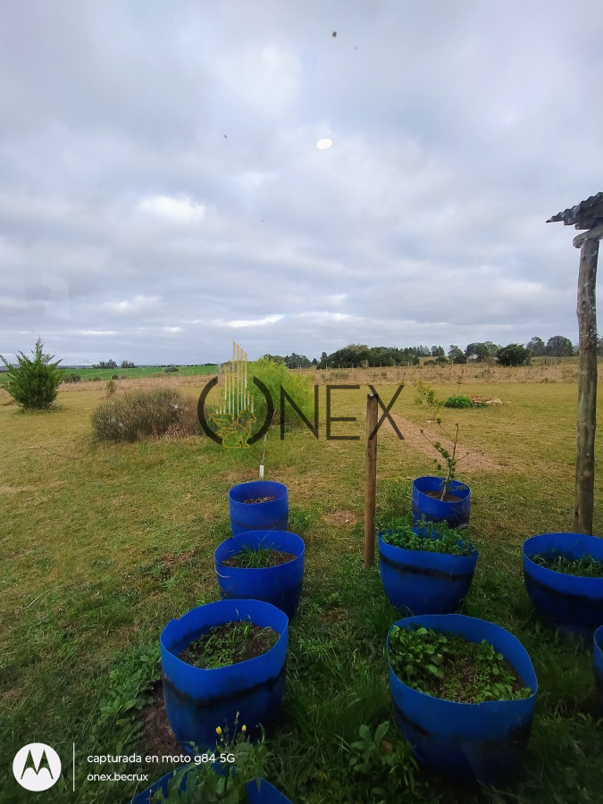 Campo Ref.2502 - Campo en Zona Rural, 