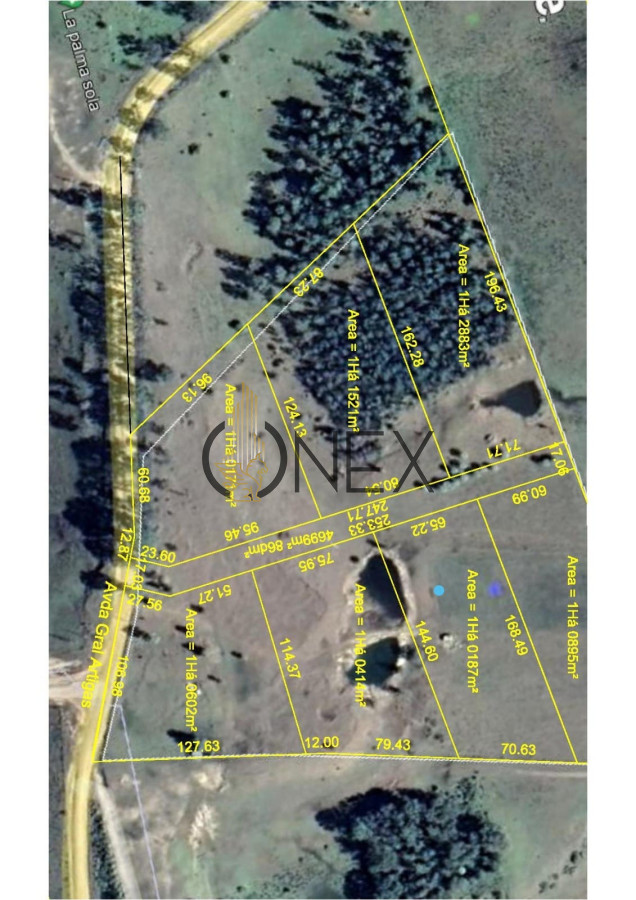 Campo Ref.1652 - 8 HECTAREAS EN VENTA CIUDAD DE GUICHON PAYSANDU