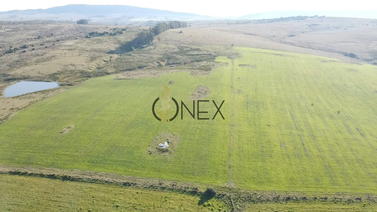 Campo Ref.2902 - Venta de campo de 103 Has en Las Cañas