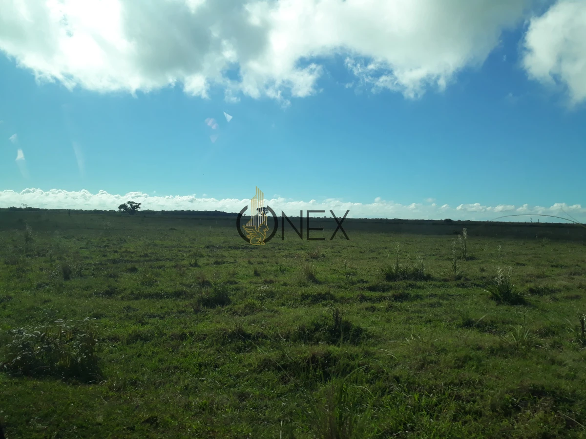 Campo Ref.2557 - Campo en Otra, 