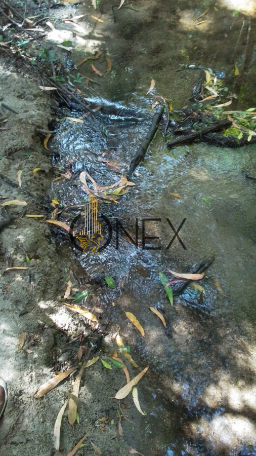 Campo Ref.3598 - Se vende excelente parcela de 6,85 has a 17 min de Jose Ignacio, sobre Ruta 9 km 155