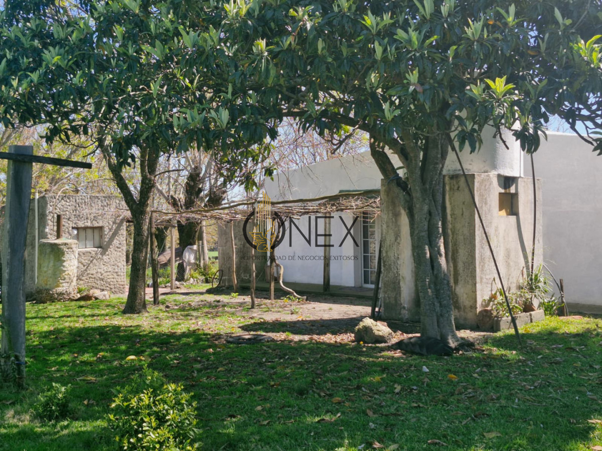 Campo Ref.3810 - Campo en venta en Arroyo Negro | 120 hectáreas