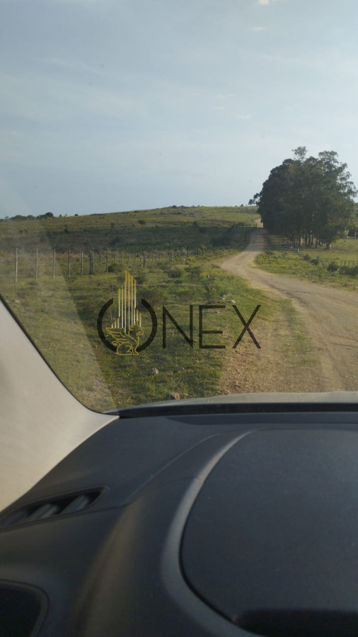 Campo Ref.2247 - Venta De Chacras Valle San Nicolas
