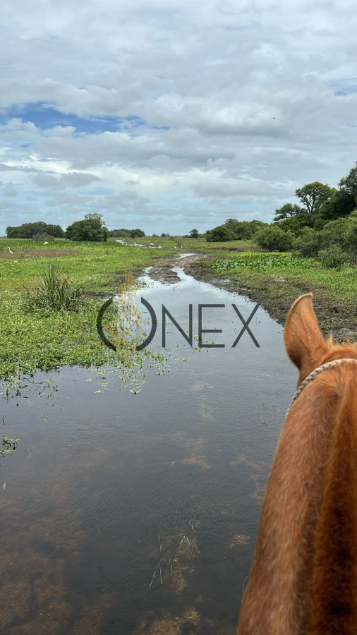 Campo Ref.2557 - Campo en Otra, 