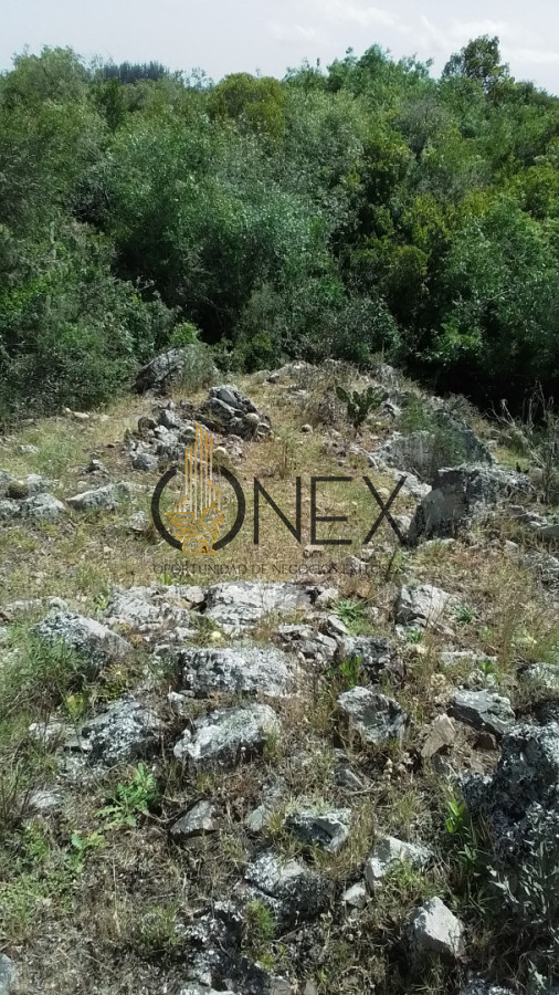 Campo Ref.3598 - Se vende excelente parcela de 6,85 has a 17 min de Jose Ignacio, sobre Ruta 9 km 155