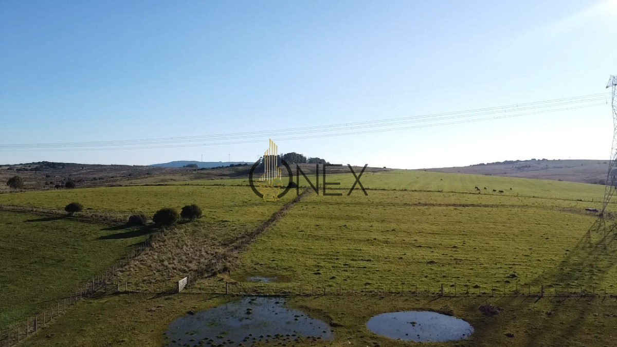 Campo Ref.2902 - Venta de campo de 103 Has en Las Cañas