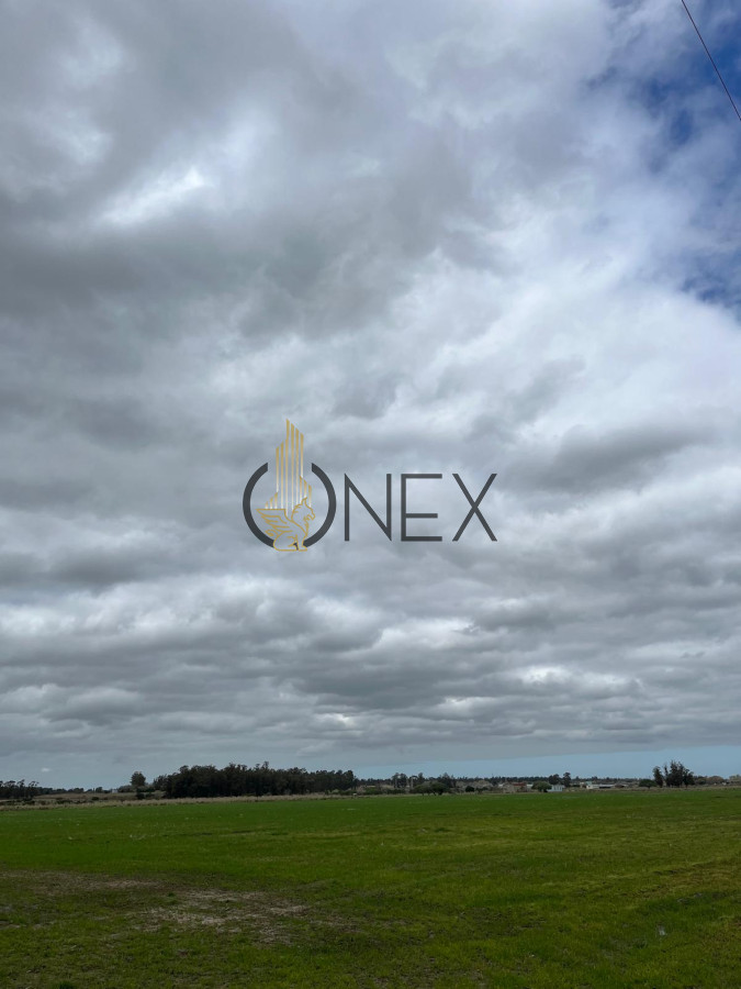 Campo Ref.1468 - SE VENDE CAMPO EN SAUCE, CANELONES. MUY BUEN ACCESO