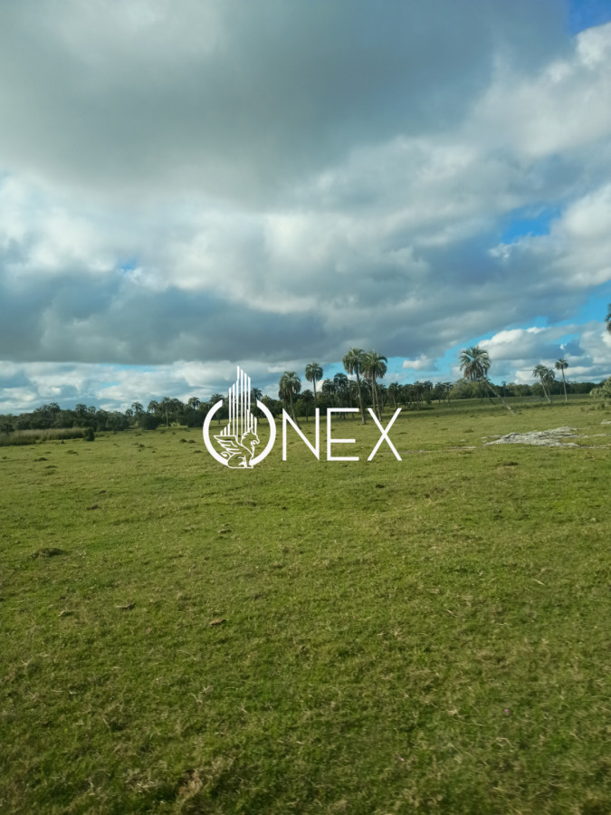 Campo Ref.4620 - Se vende en Corral de Palma 