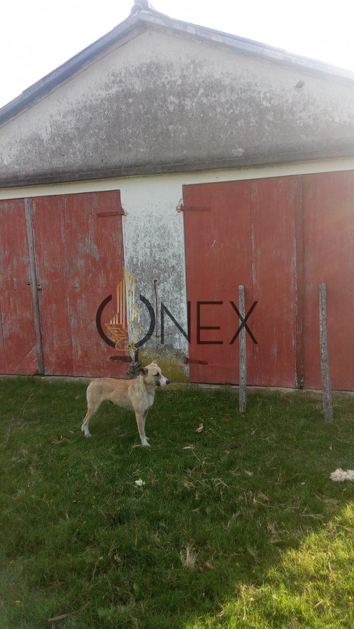 Campo Ref.3106 - Venta de Campo 600Ha en Carape con casas