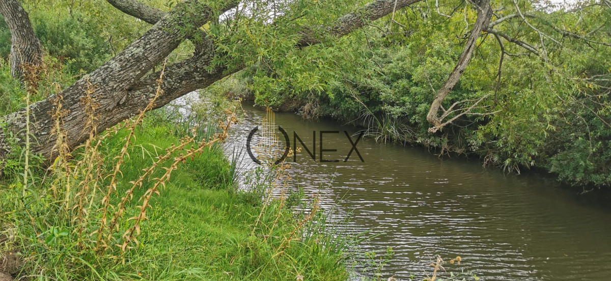 Campo Ref.2741 - Venta espectacular 