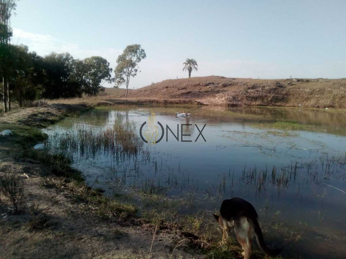 Campo Ref.1652 - 8 HECTAREAS EN VENTA CIUDAD DE GUICHON PAYSANDU
