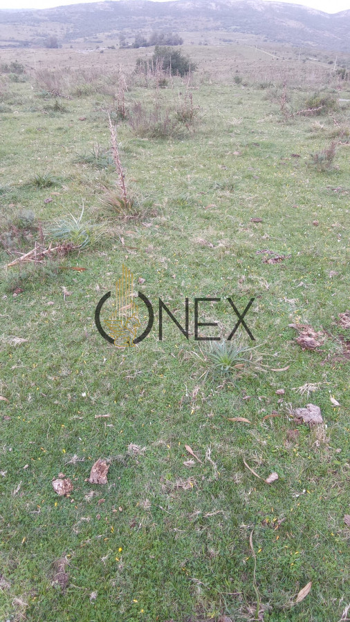 Campo Ref.3106 - Venta de Campo 600Ha en Carape con casas