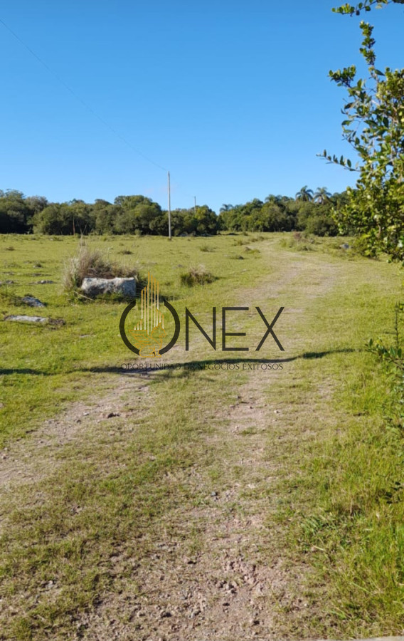 Campo Ref.4376 - Gran campo en Las Sierras de San Miguel Rocha 