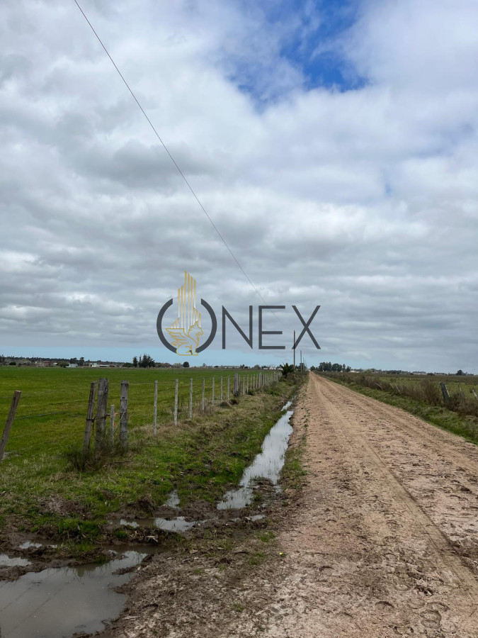 Campo Ref.1469 - CAMPO EN SAUCE, CANELONES. MUY BUEN ACCESO
