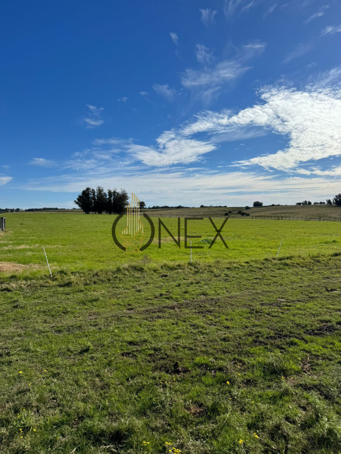 Campo Ref.2625 - Venta de Campo de 21 Ha en Jose Ignacio