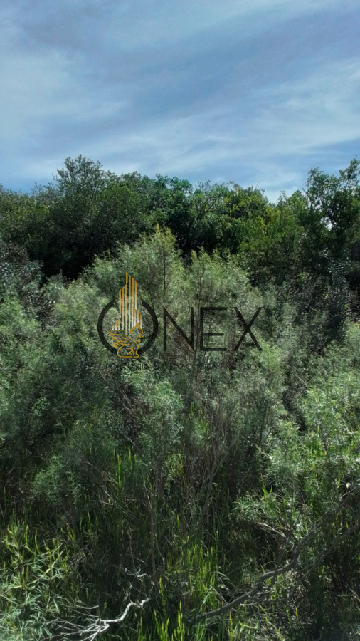 Campo Ref.3598 - Se vende excelente parcela de 6,85 has a 17 min de Jose Ignacio, sobre Ruta 9 km 155