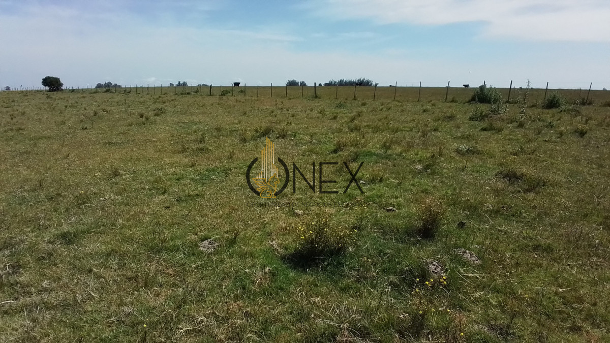Campo Ref.3598 - Se vende excelente parcela de 6,85 has a 17 min de Jose Ignacio, sobre Ruta 9 km 155