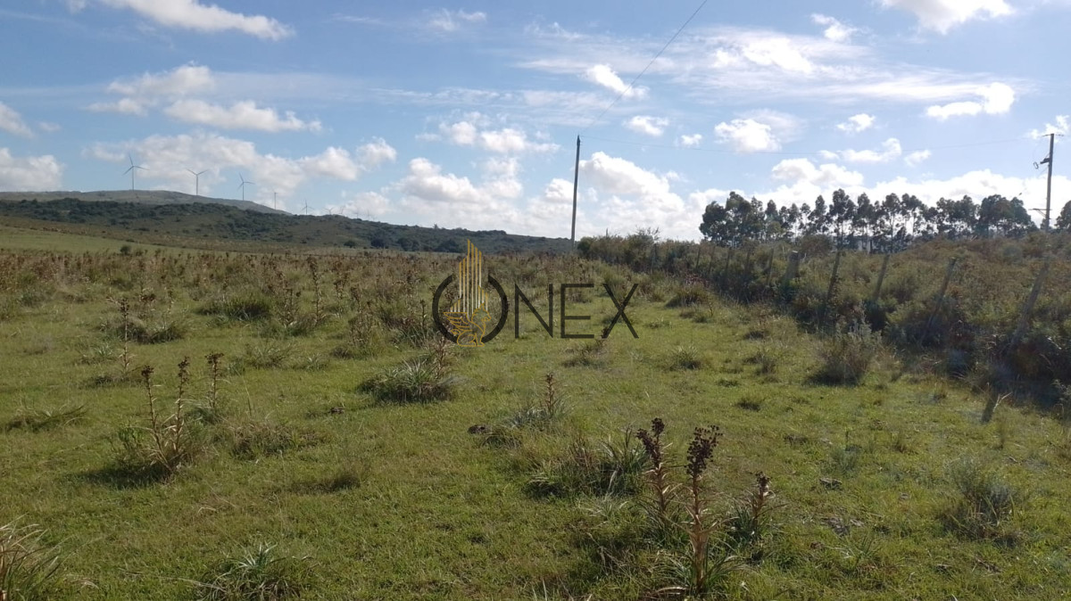 Campo Ref.2377 - Venta de Chacras de 5 y 6 Ha en Caracoles