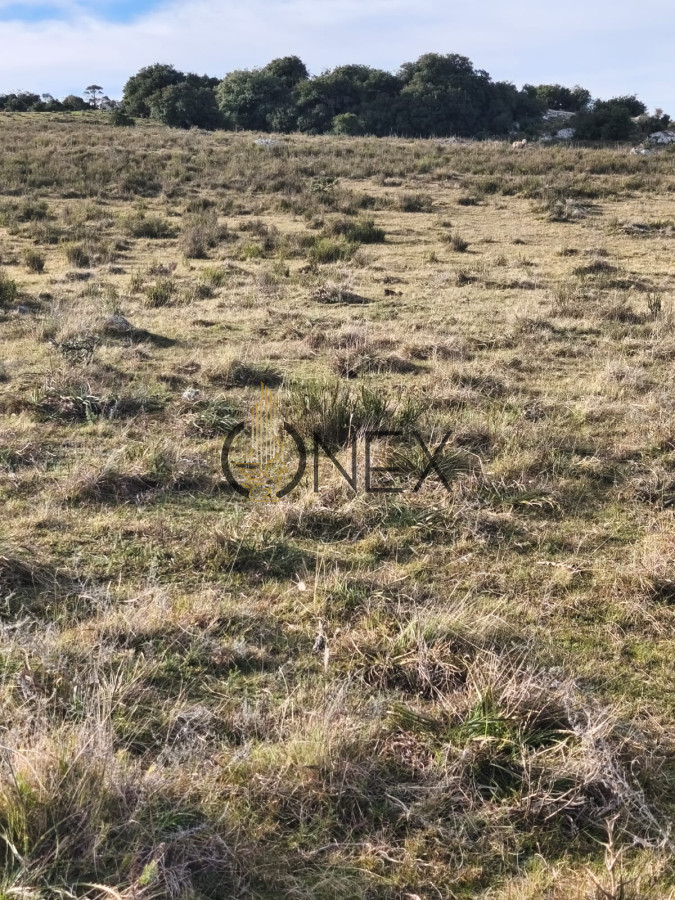 Campo Ref.3028 - Venta de campo de 240 Has Zona Las Cañas