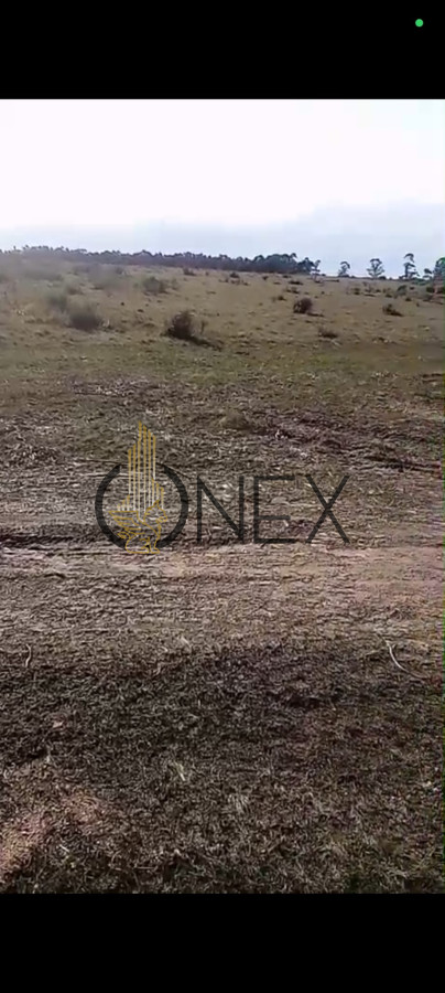 Campo Ref.2600 - Venta de campo 133 Ha Maldonado