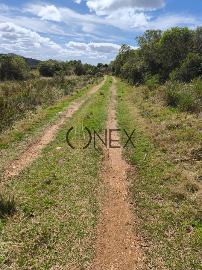 Campo Ref.3087 - Venta de Campo de 150Ha en Lavalleja