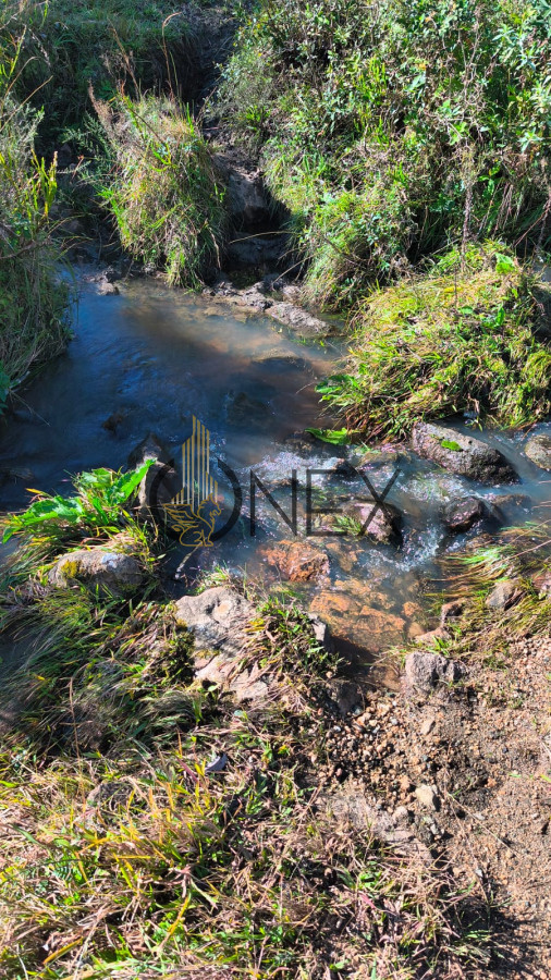 Campo Ref.2600 - Venta de campo 133 Ha Maldonado