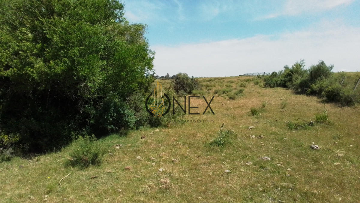 Campo Ref.3598 - Se vende excelente parcela de 6,85 has a 17 min de Jose Ignacio, sobre Ruta 9 km 155