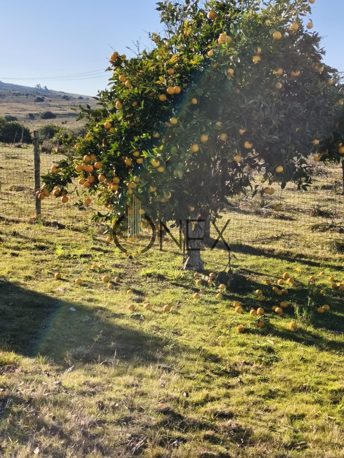 Campo Ref.2902 - Venta de campo de 103 Has en Las Cañas
