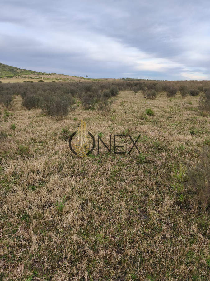Campo Ref.2894 - Venta de Campo de 25 Ha en 