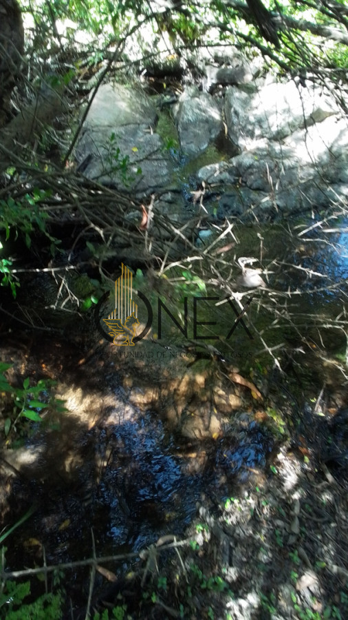 Campo Ref.3598 - Se vende excelente parcela de 6,85 has a 17 min de Jose Ignacio, sobre Ruta 9 km 155