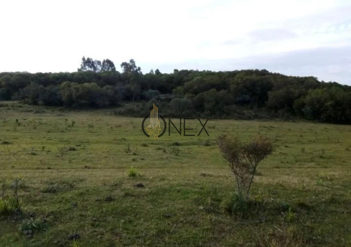 Campo Ref.1116 - Se vende campo en Maldonado 35has