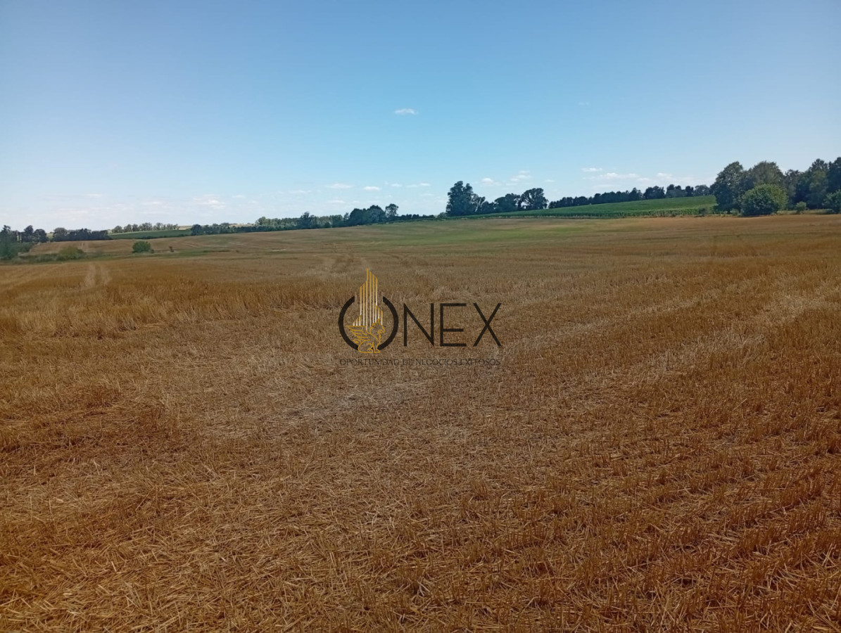 Campo Ref.3804 - 23 HECT. EN COLONIA AGRICOLA/GANADERO 